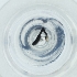  ( - NBGW_024_F1)  @11 [ ] by (2004) Genome Research Ltd as Wellcome Sanger Institute Genome Research Limited operating as Wellcome Sanger Institute