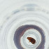  ( - NBGW_039_C5)  @11 [ ] by (2023) Wellcome Sanger Institute (Genome Research Limited) Wellcome Sanger Institute (Genome Research Limited)