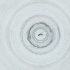  ( - NBGW_052_D2)  @11 [ ] by  Genome Research Ltd as Wellcome Sanger Institute Genome Research Limited operating as Wellcome Sanger Institute