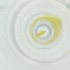  ( - NBGW_059_H8)  @11 [ ] by  Genome Research Ltd as Wellcome Sanger Institute Genome Research Limited operating as Wellcome Sanger Institute