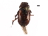  ( - BIOUG12544-E12)  @15 [ ] CreativeCommons - Attribution (2017) CBG Photography Group Centre for Biodiversity Genomics