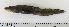  ( - ZMUB Fish_22846)  @11 [ ] CreativeCommons - Attribution Non-Commercial Share-Alike (2015) UoB, Norway University of Bergen, Natural History Collections