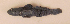  ( - ZMUB Fish_23661B)  @11 [ ] CreativeCommons - Attribution Non-Commercial Share-Alike (2017) University of Bergen Natural History Collections