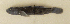  ( - ZMUB Fish_23661D)  @11 [ ] CreativeCommons - Attribution Non-Commercial Share-Alike (2017) University of Bergen Natural History Collections