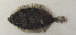  ( - ZMUB Fish_23668)  @11 [ ] CreativeCommons - Attribution Non-Commercial Share-Alike (2017) University of Bergen Natural History Collections
