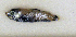  ( - ZMUB Fish_23701)  @11 [ ] CreativeCommons - Attribution Non-Commercial Share-Alike (2017) University of Bergen Natural History Collections
