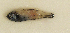 ( - ZMUB Fish_23715)  @11 [ ] CreativeCommons - Attribution Non-Commercial Share-Alike (2017) University of Bergen Natural History Collections