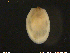  ( - LiGw01)  @11 [ ] CreativeCommons - Attribution Non-Commercial Share-Alike (2018) NTNU University Museum, Department of Natural History NTNU University Museum, Department of Natural History
