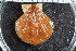  ( - Sletvik2016_74)  @11 [ ] CreativeCommons - Attribution Non-Commercial Share-Alike (2017) University of Bergen Natural History Collections