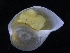  ( - ZMBN_125239)  @11 [ ] CreativeCommons - Attribution Non-Commercial Share-Alike (2018) University of Bergen Natural History Collections