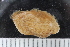  ( - ZMBN_125333)  @11 [ ] CreativeCommons - Attribution Non-Commercial Share-Alike (2018) University of Bergen Natural History Collections
