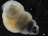  ( - ZMBN_126494)  @11 [ ] CreativeCommons - Attribution Non-Commercial Share-Alike (2019) University of Bergen University of Bergen, Natural History Collections