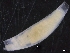  ( - ZMBN_129920)  @11 [ ] CreativeCommons - Attribution Non-Commercial Share-Alike (2019) University of Bergen University of Bergen, Natural History Collections