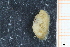  ( - ZMBN_129947)  @11 [ ] CreativeCommons - Attribution Non-Commercial Share-Alike (2019) University of Bergen University of Bergen, Natural History Collections