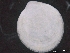  ( - ZMBN_129986)  @11 [ ] CreativeCommons - Attribution Non-Commercial Share-Alike (2019) University of Bergen University of Bergen, Natural History Collections