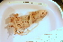  ( - ZMBN_157815)  @11 [ ] Creative Commons BY SA (2023) University of Bergen Natural History Collections