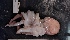  ( - ZMBN_157866)  @11 [ ] Creative Commons BY SA (2023) University of Bergen Natural History Collections
