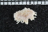  ( - ZMBN_94136)  @13 [ ] CreativeCommons - Attribution Non-Commercial Share-Alike (2015) University of Bergen University of Bergen, Natural History Collections