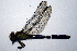  ( - NBM-14309)  @13 [ ] Unspecified (default): All Rights Reserved  Unspecified Unspecified