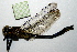  ( - NBM-10061)  @12 [ ] Unspecified (default): All Rights Reserved  Unspecified Unspecified