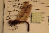  ( - NBM- 014766)  @12 [ ] Unspecified (default): All Rights Reserved  Unspecified Unspecified
