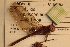  ( - NBM- 014744)  @12 [ ] Unspecified (default): All Rights Reserved  Unspecified Unspecified