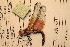  ( - NBM- 014794)  @12 [ ] Unspecified (default): All Rights Reserved  Unspecified Unspecified