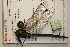  ( - NBM- 011730)  @12 [ ] Unspecified (default): All Rights Reserved  Unspecified Unspecified