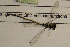  ( - NBM-011506)  @11 [ ] Unspecified (default): All Rights Reserved  Unspecified Unspecified