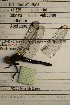  ( - NBM-14243)  @12 [ ] Unspecified (default): All Rights Reserved  Unspecified Unspecified