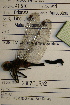  ( - NBM-014870)  @12 [ ] Unspecified (default): All Rights Reserved  Unspecified Unspecified