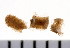  ( - HUNTSPOL0032)  @12 [ ] CreativeCommons - Attribution (2010) Unspecified Centre for Biodiversity Genomics