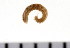  ( - HUNTSPOL0034)  @12 [ ] CreativeCommons - Attribution (2010) Unspecified Centre for Biodiversity Genomics