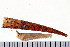  ( - HUNTSPOL0094)  @13 [ ] CreativeCommons - Attribution (2010) Unspecified Centre for Biodiversity Genomics