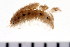  ( - HUNTSPOL0168)  @12 [ ] CreativeCommons - Attribution (2010) Unspecified Centre for Biodiversity Genomics