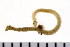  ( - HUNTSPOL0185)  @12 [ ] CreativeCommons - Attribution (2010) Unspecified Centre for Biodiversity Genomics