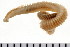  ( - HUNTSPOL0279)  @13 [ ] CreativeCommons - Attribution (2010) Unspecified Centre for Biodiversity Genomics