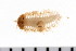  ( - HUNTSPOL0309)  @13 [ ] CreativeCommons - Attribution (2010) Unspecified Centre for Biodiversity Genomics