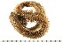 ( - HUNTSPOL0416)  @14 [ ] CreativeCommons - Attribution (2010) Unspecified Centre for Biodiversity Genomics