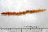  ( - HUNTSPOL0051)  @13 [ ] CreativeCommons - Attribution (2010) Unspecified Centre for Biodiversity Genomics