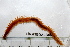  ( - HUNTSPOL0069)  @13 [ ] CreativeCommons - Attribution (2010) Unspecified Centre for Biodiversity Genomics