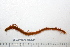  ( - HUNTSPOL0220)  @13 [ ] CreativeCommons - Attribution (2010) Unspecified Centre for Biodiversity Genomics
