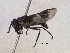  ( - Chu_Chnig_02)  @13 [ ] Unspecified (default): All Rights Reserved  Unspecified Unspecified