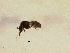  ( - Moo_Sirug_03)  @12 [ ] Unspecified (default): All Rights Reserved  Unspecified Unspecified