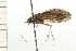  ( - 08NBEPT-1302)  @13 [ ] CreativeCommons - Attribution (2008) Unspecified Centre for Biodiversity Genomics