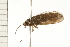  ( - 08NBEPT-1392)  @13 [ ] CreativeCommons - Attribution (2008) Unspecified Centre for Biodiversity Genomics