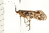  ( - 08NBEPT-1601)  @14 [ ] CreativeCommons - Attribution (2008) Unspecified Centre for Biodiversity Genomics