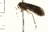  ( - 08NBEPT-1611)  @11 [ ] CreativeCommons - Attribution (2008) Unspecified Centre for Biodiversity Genomics