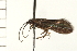  ( - 08NBEPT-1651)  @12 [ ] CreativeCommons - Attribution (2008) Unspecified Centre for Biodiversity Genomics