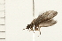  ( - 08NBEPT-1712)  @13 [ ] CreativeCommons - Attribution (2008) Unspecified Centre for Biodiversity Genomics